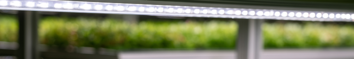 LED module design decisions for vertical farms