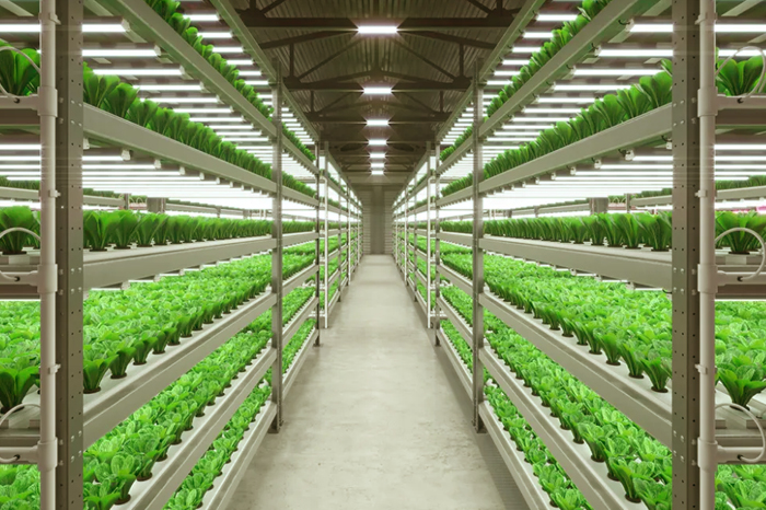 Vertical Farms with Nichia Hortisolis