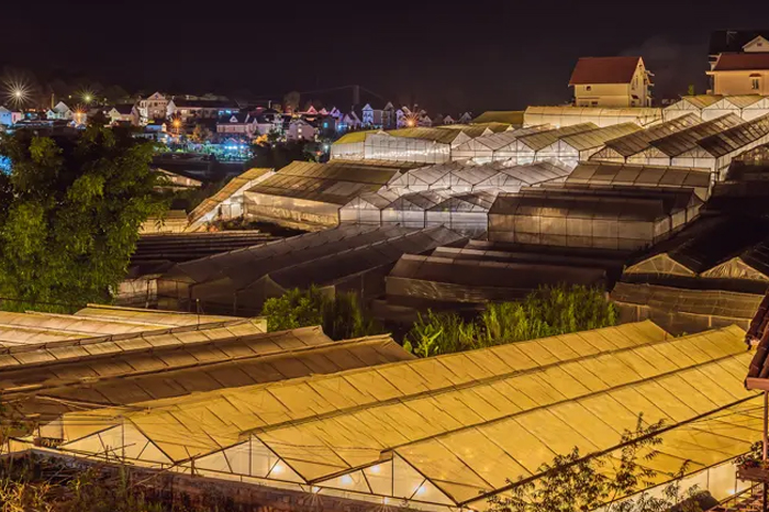 Farm Lighting with Nichia HPS LEDs
